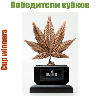 Победители кубков Победители кубков